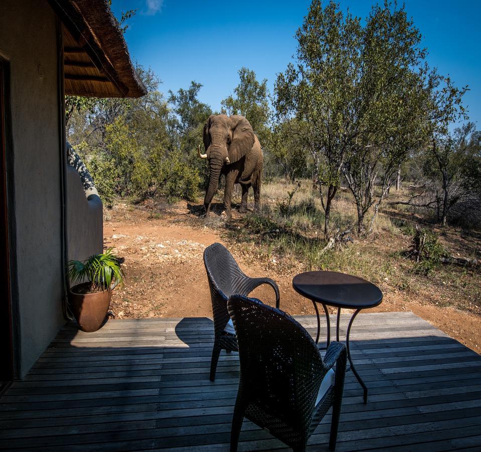 Garonga Safari Villa Makalali Game Reserve Екстериор снимка